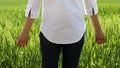 Spring barley fields and people. Royalty Free Stock Photo